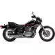 250 2024 V-STAR XV250R